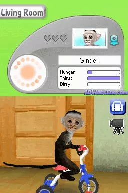 Image n° 3 - screenshots : Petz - Monkeyz House